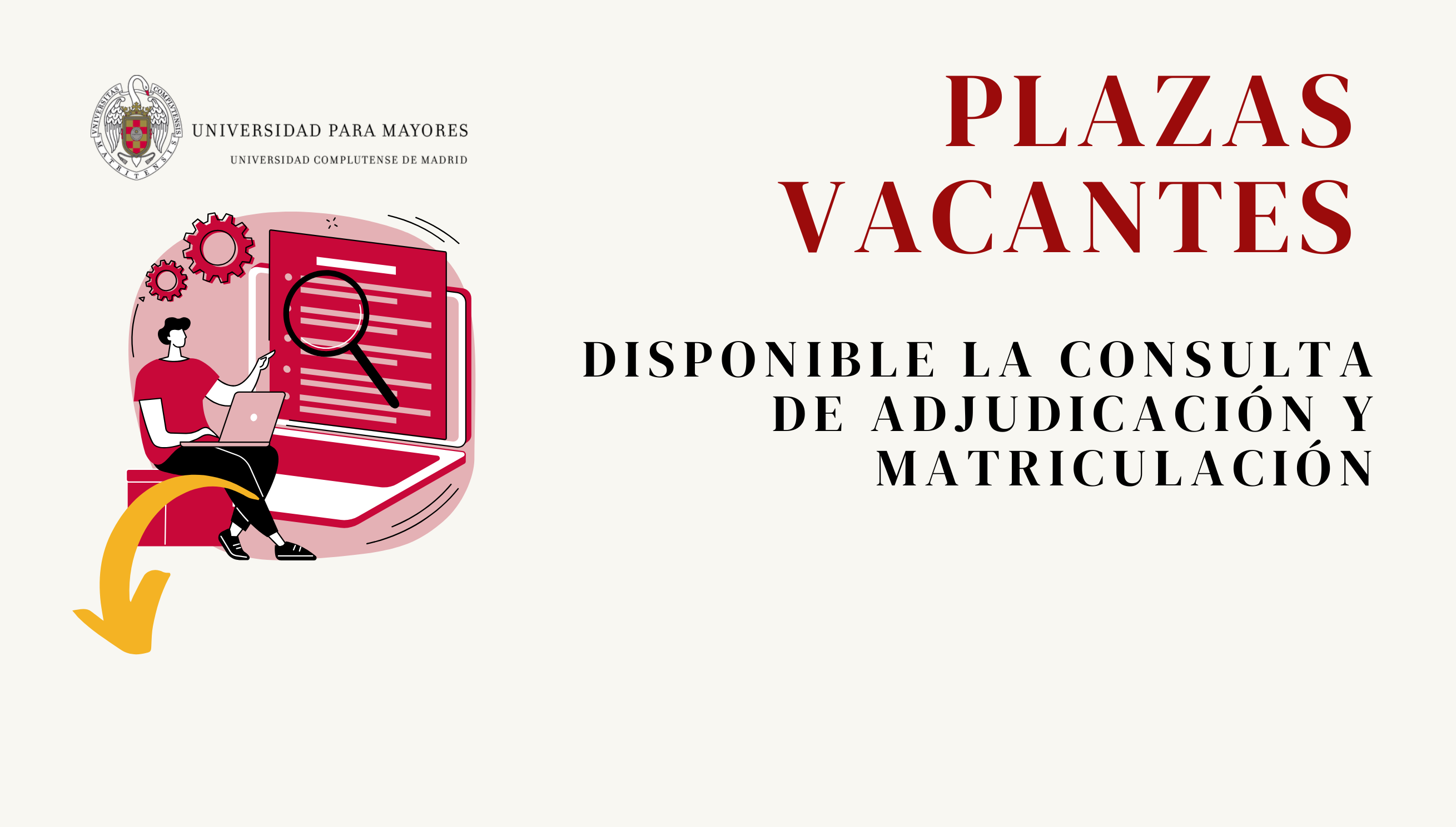 Consulta de Adjudicación y Matrícula